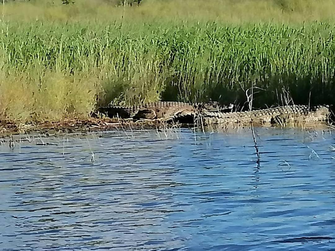 Camp Hogo Kavango Rundu Kültér fotó