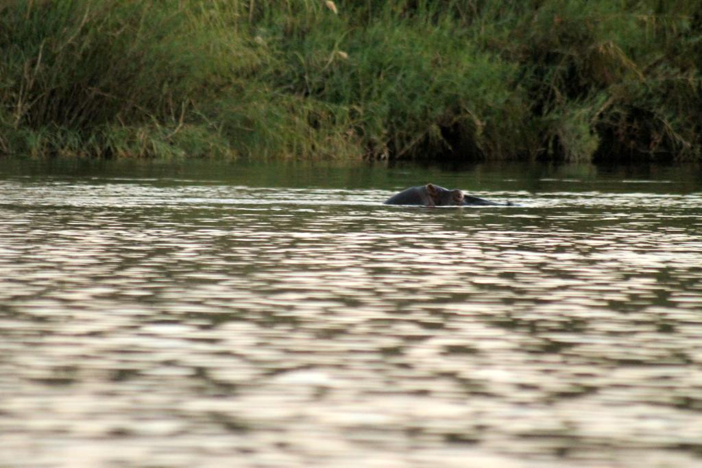 Camp Hogo Kavango Rundu Kültér fotó