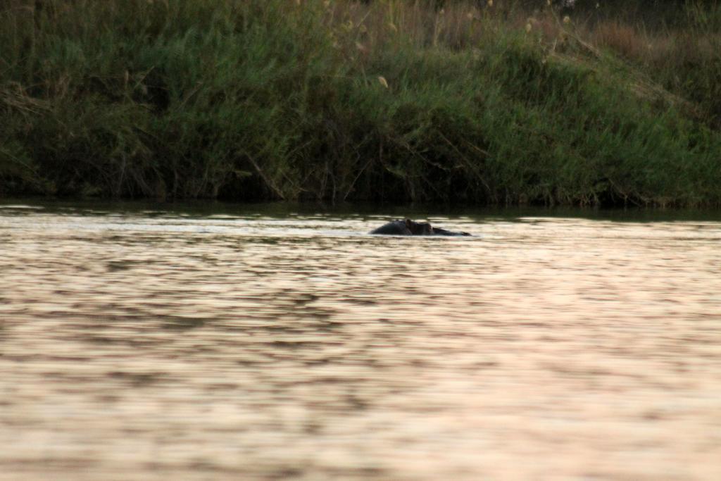 Camp Hogo Kavango Rundu Kültér fotó