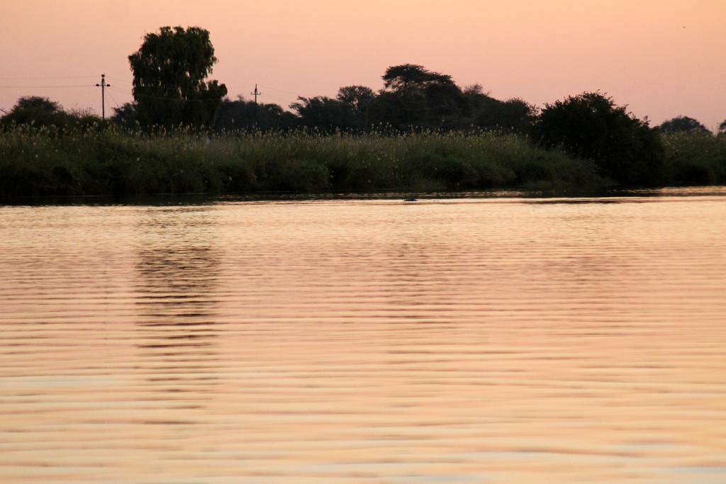 Camp Hogo Kavango Rundu Kültér fotó